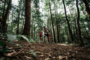 BIB: 
                            <button type="button" onclick="openModal(25261150)" class="btn btn-primary btn-sm float-right btn-popup" data-toggle="modal" data-target=".modal-high-quality">
                        <i class="fas fa-shopping-cart"></i> Add to Cart
                    </button>
                                            <button type="button" onclick="isThisMe(25261150, true)" class="btn btn-success btn-sm float-right btn-popup btn-isme hidden" data-toggle="tooltip" data-placement="bottom" title="นี่คือรูปของคุณใช่ไหม คลิกที่นี่เพื่อเอาเข้าอัลบั้ม">
                        <i class="fas fa-plus"></i> Add to album
                    </button>
                    <button type="button" onclick="isThisMe(25261150, false)" class="btn btn-warning btn-sm float-right btn-popup btn-isnotme hidden">
                        <i class="fas fa-ban"></i> Remove from album
                    </button>